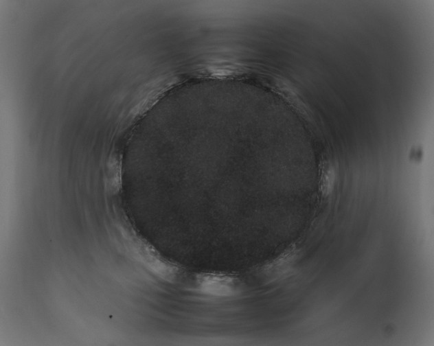 X0000111490471200907281232