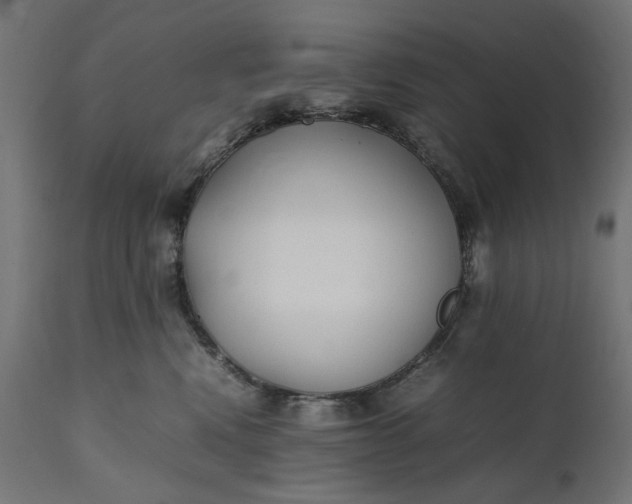 X0000111490472200907281232