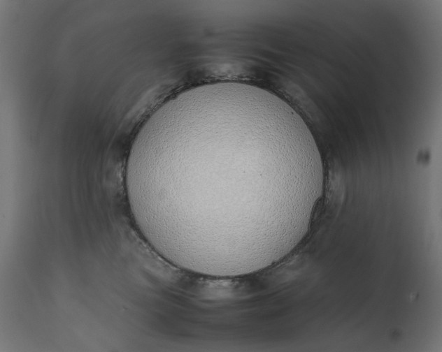 X0000111490473200907281232