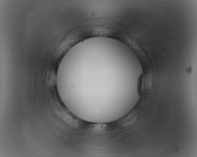 X0000111490474200907281232