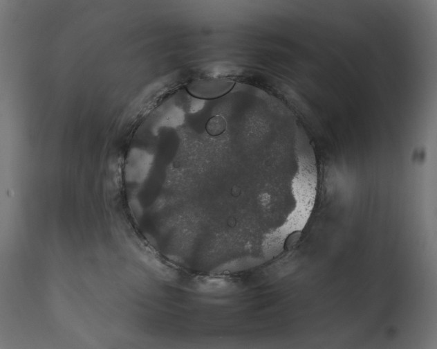 X0000111490475200907281232