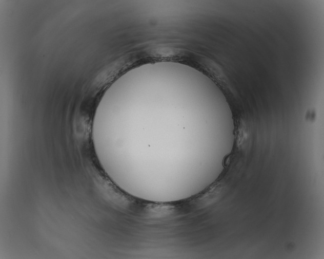 X0000111490476200907281232