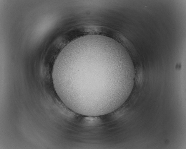 X0000111490477200907281232