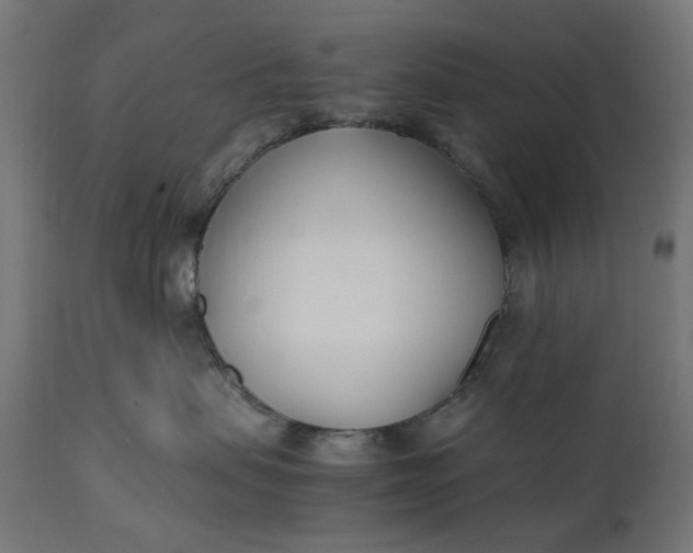 X0000111490479200907281232