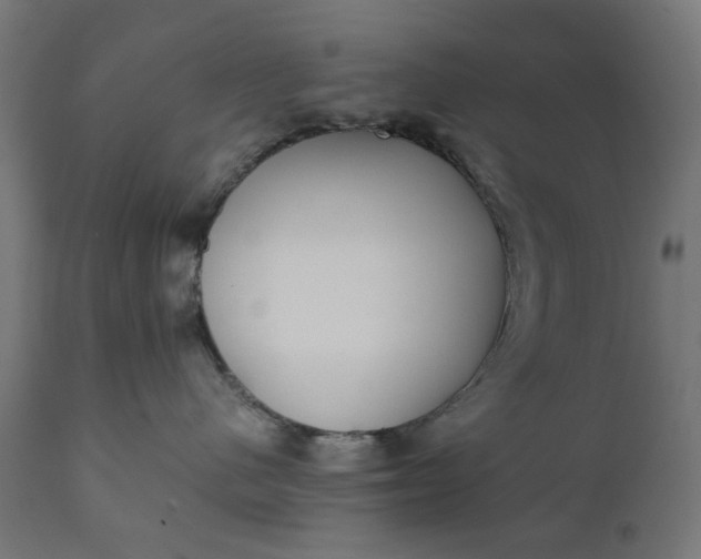 X0000111490480200907281232