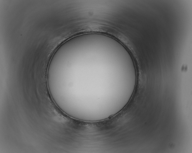 X0000111490481200907281231