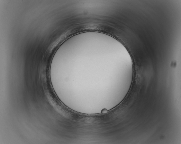 X0000111490482200907281231