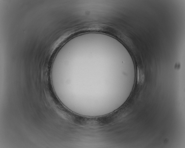 X0000111490483200907281231