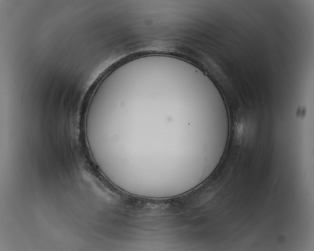 X0000111490484200907281231