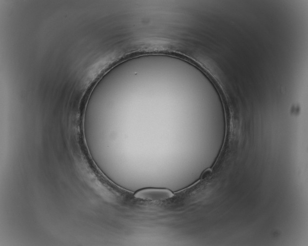 X0000111490485200907281231