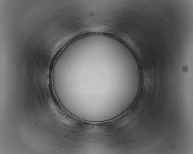 X0000111490486200907281231