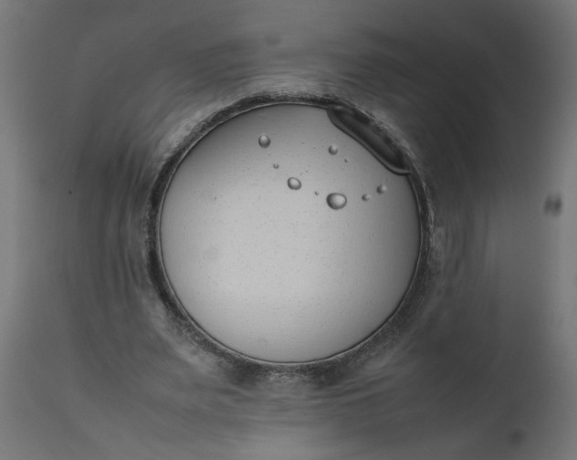 X0000111490487200907281231