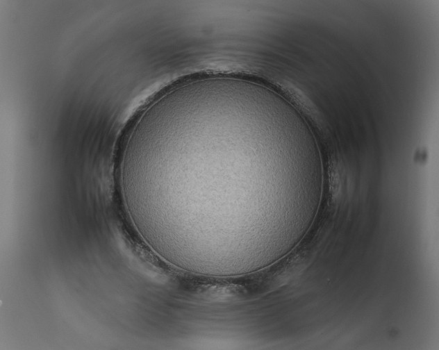 X0000111490488200907281231