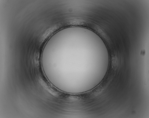 X0000111490490200907281231