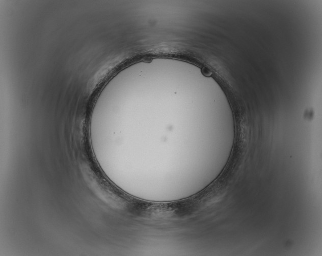 X0000111490491200907281231