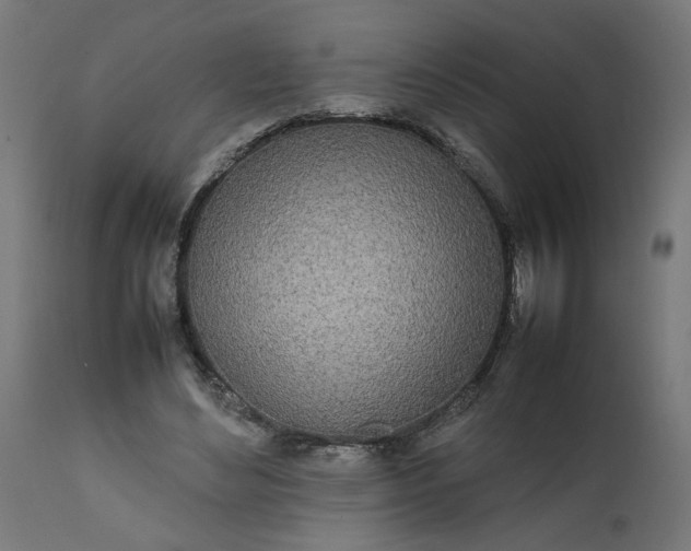 X0000111490492200907281231