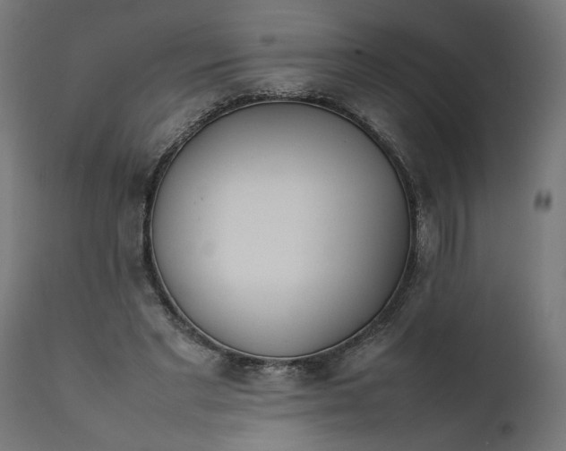 X0000111490493200907281231