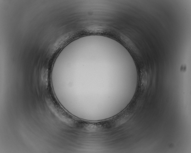 X0000111490494200907281231