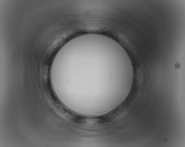 X0000111490495200907281231