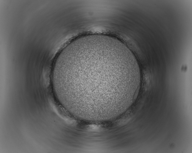 X0000111490496200907281231