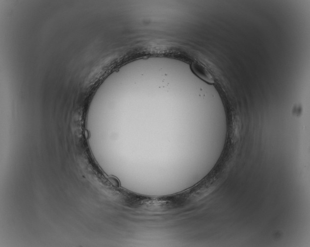 X0000111490497200907281231