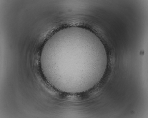 X0000111490499200907281231