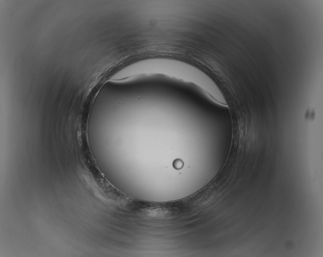 X0000111490500200907281231