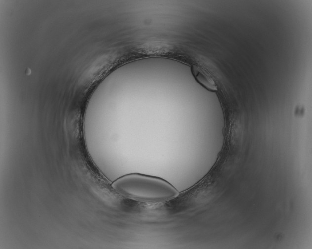 X0000111490501200907281230