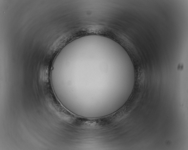 X0000111490502200907281230