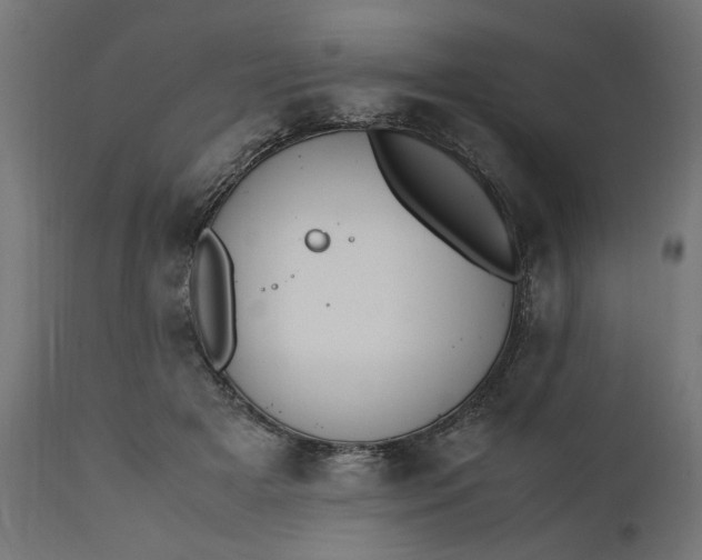 X0000111490505200907281230