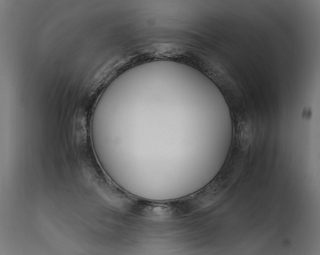 X0000111490506200907281230