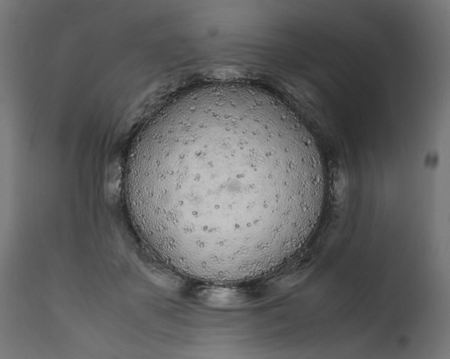 X0000111490507200907281230