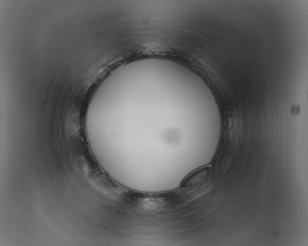 X0000111490508200907281230