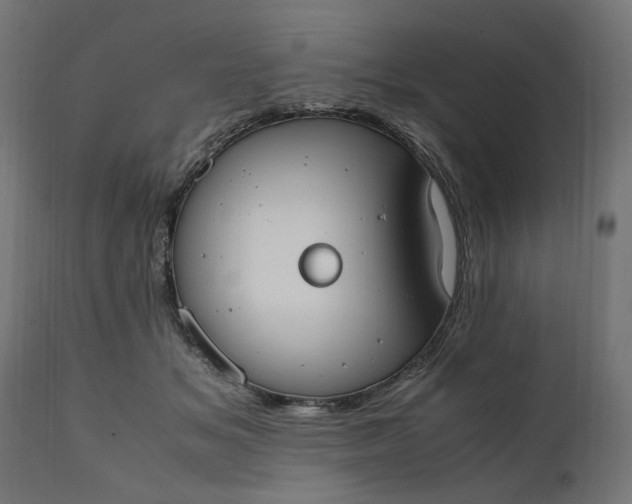 X0000111490509200907281230