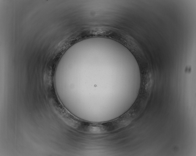 X0000111490510200907281230