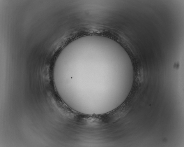 X0000111490512200907281230