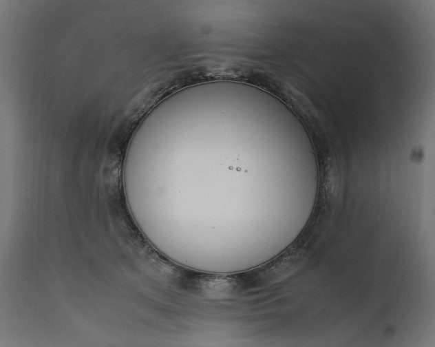 X0000111490513200907281230