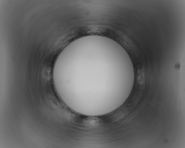 X0000111490514200907281230