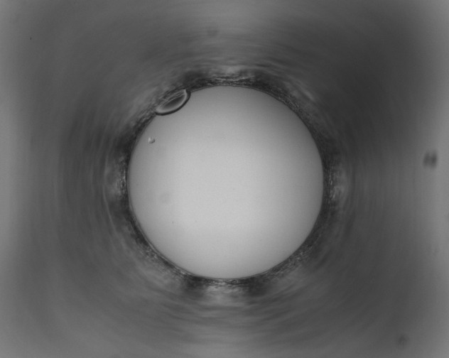 X0000111490515200907281230