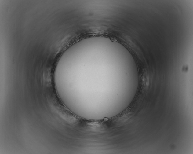 X0000111490516200907281230