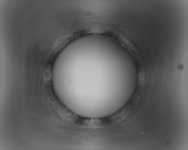 X0000111490517200907281230