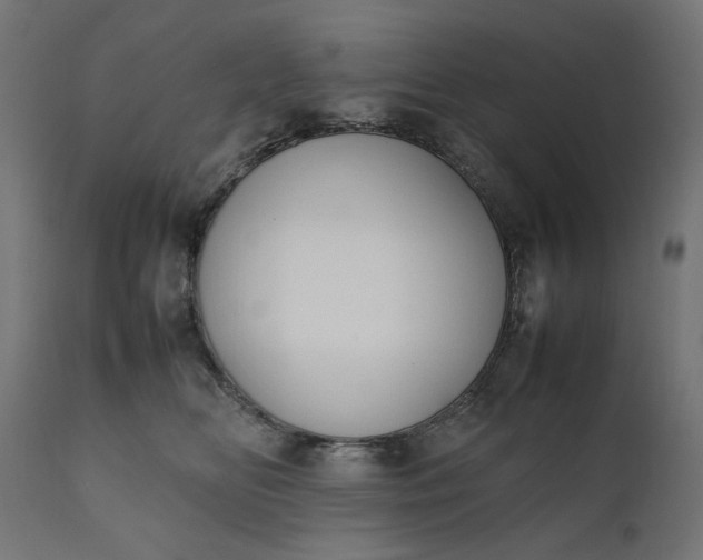 X0000111490518200907281230