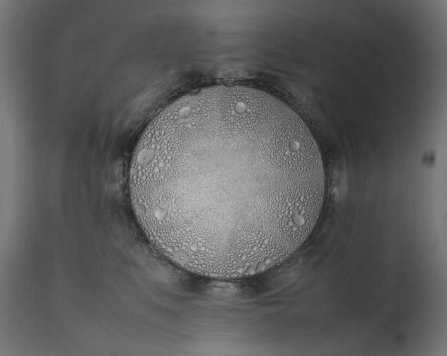 X0000111490519200907281230