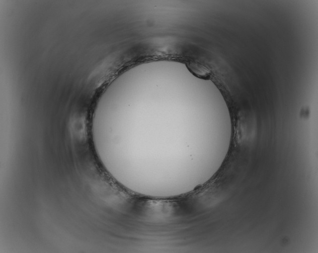 X0000111490520200907281230