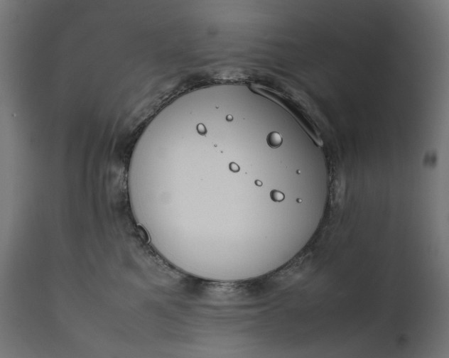 X0000111490521200907281230