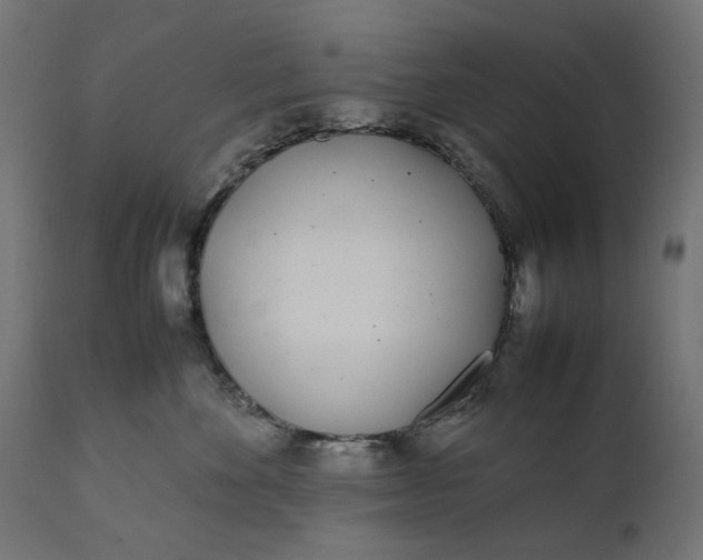 X0000111490524200907281230