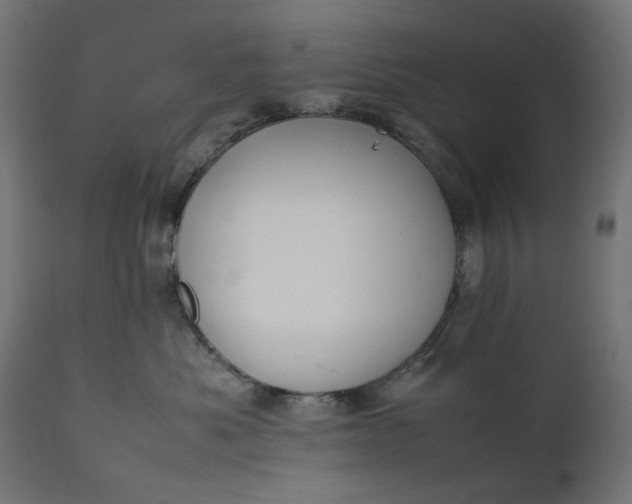 X0000111490525200907281230