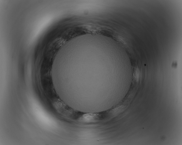 X0000111490526200907281230