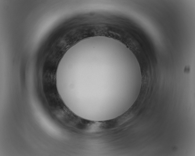 X0000111490527200907281230