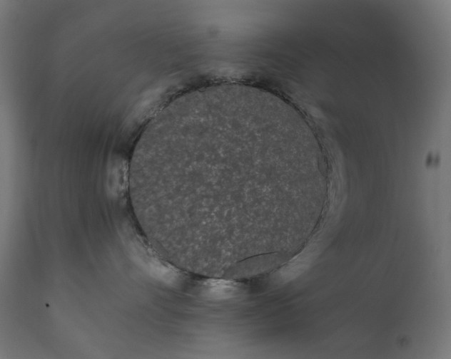 X0000111490528200907281230